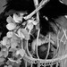 tattoo galleries/ - White Cage Detail - 38067